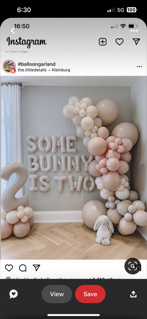 Some Bunny Is Three Birthday, Some Bunny Party, Bunny Birthday Party Ideas, Some Bunny Is Two, 2nd Birthday Themes, Bunny Birthday Theme, Bunny First Birthday, Some Bunny Is Turning One, Bunny Birthday Party