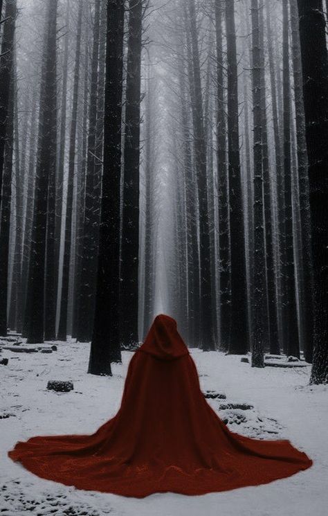 Hooded Person, Playlist Photos, Witcher Wallpaper, Red Ridding Hood, Throne Of Glass Series, Photographie Portrait Inspiration, 다크 판타지, Fantasy Aesthetic, Throne Of Glass