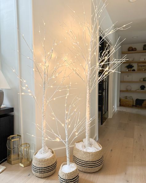 One of my favorite finds! These viral lighted birch trees bring that perfect luxe vibe to any space. 🌿✨ Whether indoors or outdoors, they instantly elevate your decor this holiday season. This set includes 4FT, 6FT, and 8FT trees and I also have the brown set on my front porch for that extra cozy touch. Perfect for year-round magic! 🌲 Comment SHOP below to receive a DM with the link to shop this post on my LTK ⬇ https://liketk.it/4W6CC #ltkhome #ltkholiday #ltkseasonal #BirchTreeVibes #Min... Indoor Birch Tree Decor, White Twig Tree, Birch Tree Decor, Twig Tree, Flower Plants, Birch Trees, Birch Tree, Church Decor, Tree Decor