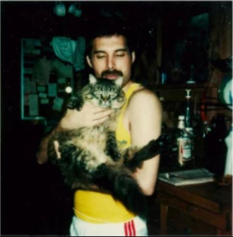 Mary Austin, Cat Obsession, Cat Sanctuary, Freddy Mercury, Ben Hardy, Queen Photos, Roger Taylor, Queen Pictures, Queen Freddie Mercury