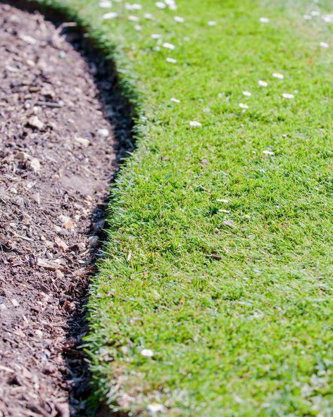 Curved grass border of an empty flower bed Brick Flowerbed Border, Curved Garden Edging, Curved Garden Beds, Landscape Edging Ideas, Grass Border, Grass Edging, Stone Edging, Garden Edging Ideas, Flower Bed Edging