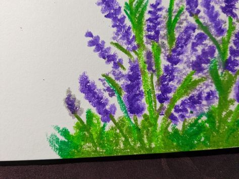 practicing drawing reference from Pinterest #day4 Lavender Oil Pastel, Practicing Drawing, Drawing Practice, Art Practice, Lavender Oil, Oil Pastel, Drawing Reference, Lavender, Pastel