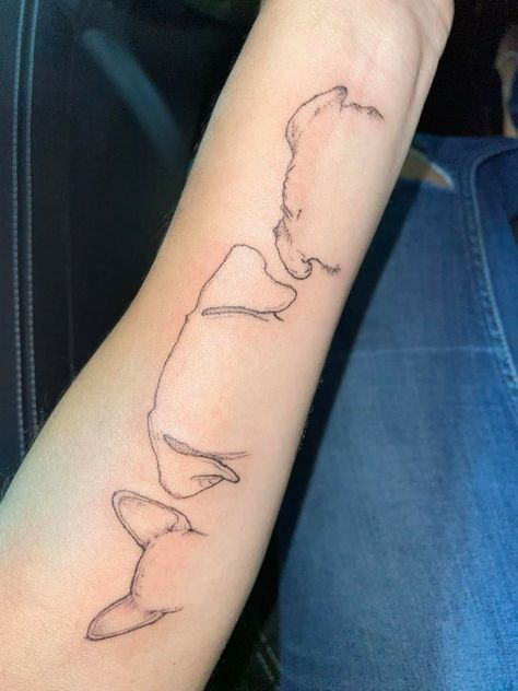 Dog Ear Tattoo Outline, Tattoo Simplistic, Dog Ear Tattoo, Deep Tattoo, Cowgirl Tattoos, Outline Tattoo, Single Needle Tattoo, Dog Ears, Detailed Tattoo