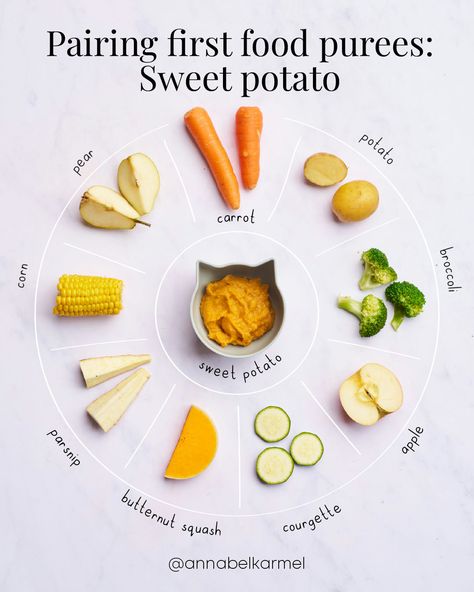 Here are my favourite sweet potato puree combos! Start with plain sweet potato to help your baby get used to the flavour, then mix in one or two ingredients from the outer wheel suggestions.  Follow the link to read more!