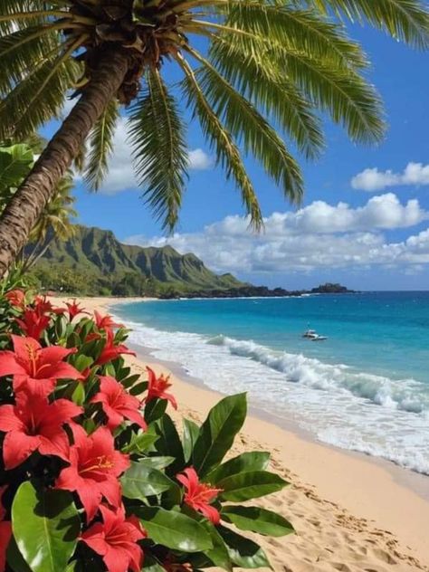 Beach With Flowers, Hawaii Background, Christmas On The Beach, Christmas In Hawaii, Aesthetic Island, Palm Art, Beach Palm Trees, Tropical Trees, Summer Island