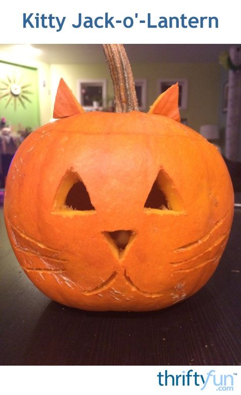 My 2 year old son picked out an adorably small pumpkin at the pumpkin patch this weekend. I prefer to freehand whatever I carve on my pumpkins and needed a simple idea that I could fit on a small pumpkin. I decided to make his pumpkin into a kitty, since he loves kitties! Puppy Jack O Lantern Ideas, Small Pumpkin Carving, Small Pumpkin Carving Ideas, Cat Pumpkin Stencil, Funny Jack O Lanterns, Holidays Crafts, Owl Face, Creative Pumpkin Carving, Easy Pumpkin Carving