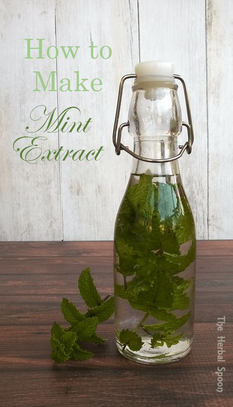 How To Make Peppermint Extract, Homemade Peppermint Extract, Mint Extract Recipe, Homemade Mint Extract, Homemade Extracts, Freeze Strawberries, Diy Extracts, Freezing Strawberries, Peppermint Extract