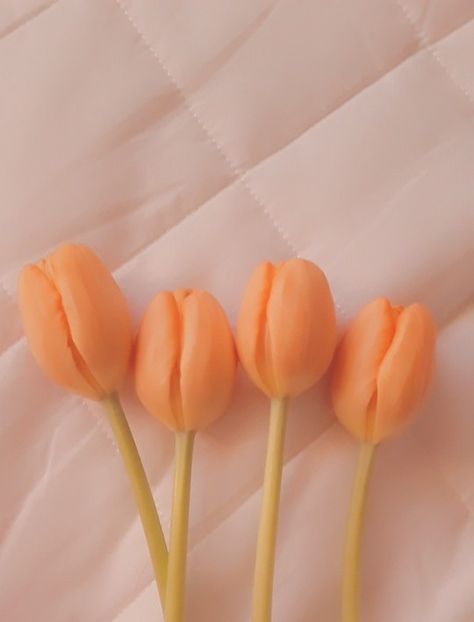 pastel orange tulips Pastel Orange Aesthetic, Orange Coquette, Pastel Danish, Blurry Lights, Joey Chandler, Orange Tulips, Pastel Orange, Orange Aesthetic, Gummy Bear