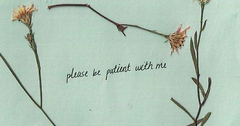 Quote Girl, Be Patient With Me, Anne Shirley, Dragon Age Inquisition, Life Quotes Love, Be Patient, Dragon Age, Infj, Green Aesthetic