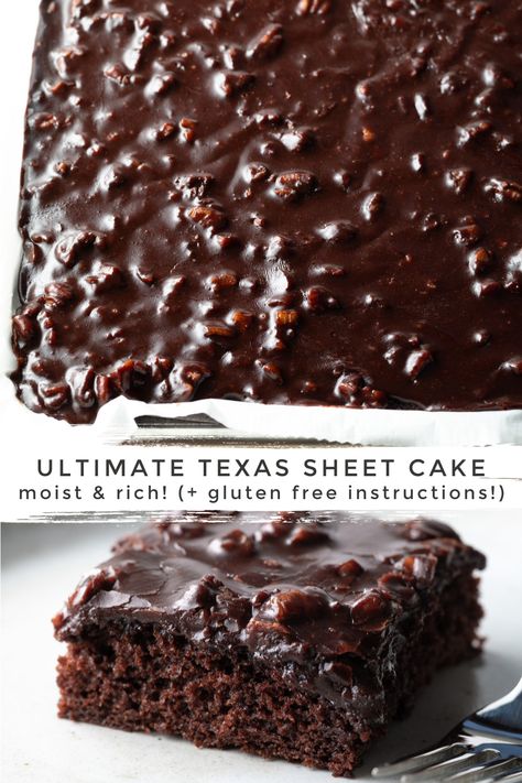 Texas Chocolate Sheet Cake, Chocolate Sheet Cake Recipe, Texas Sheet Cake Recipe, Sheet Cake Recipe, Chocolate Muffin Recipe, Chocolate Pudding Recipes, Texas Sheet, Texas Sheet Cake, Chocolate Sheet Cake