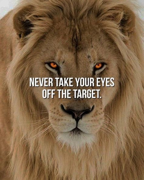 Lion Attitude, Past Quotes, Quotes Attitude, Inspirational Rocks, Inspirational Life Lessons, Lion Quotes, Inspirational Quotes Background, Mindset Inspiration, Good Morning Sweetheart Quotes