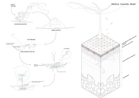 Gallery of Cascarilla Garden / ARCHITEKTEN - 24 Soil Diagram, Climate Diagram, Landscape Vignettes, Archeology Architecture, Landscape Architecture Drawing, Architecture Drawing Plan, Public Space Design, Architecture Concept Diagram, Concept Diagram