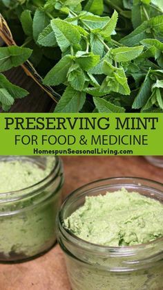 Preserving Mint, Making Tinctures, Preserve Fresh Herbs, Herbal Remedies Recipes, Preserving Herbs, Medicinal Herbs Garden, Medical Herbs, Seasonal Living, Mint Recipes