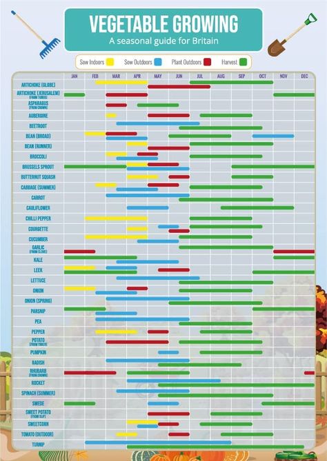 Veg Growing Calendar Uk, Vegetable Growing Calendar, Veg Planting Calendar Uk, Growing Calendar Uk, Allotment Calendar Uk, Fruit Planting Calendar, Gardening Calendar Uk, Garden Growing Chart, Seasonal Vegetable Chart Uk