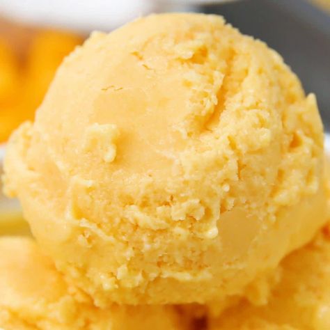 Banana Frozen Yogurt, Mango Frozen Yogurt, Healthy Frozen Yogurt, Frozen Yogurt Recipes, Pumpkin Ice Cream, Healthy Chocolate Chip, Ninja Creami, Sorbet Recipes, Peach Cobbler Recipe