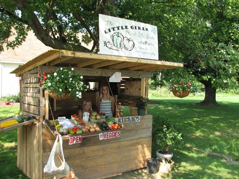 Roadside stand that could easily be made out of pallets. Farmstand Ideas, Veggie Stand, Farm Market Ideas, Selling Eggs, Roadside Stand, Farmers Market Stand, Farmers Market Display, Produce Stand, Vegetable Stand