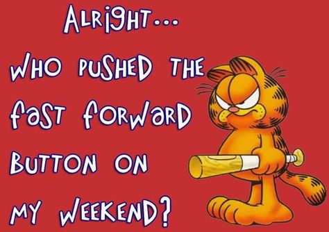 weekend is over... Crazy Posters, Garfield Quotes, Funny Good Morning Messages, Sunday Humor, Life Priorities, Monday Humor Quotes, Trending Quotes, Garfield Cartoon, Days Of The Week Quotes