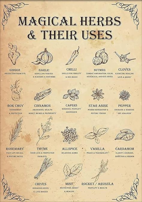 Amazon.com: DZQUY Magical Herbs And Their Uses Witchy Poster Kitchen Witch Wall Art Vintage Witchery Witches Magic Knowledge Tin Signs For Man Cave 8x12 Inch, Brown: Posters & Prints Herbs And Their Uses, Witch Recipes, Kitchen Witch Recipes, Pagan Holidays, Magia Das Ervas, High Holidays, Magic Herbs, Magical Herbs, Kitchen Witchery