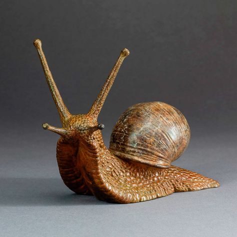 Garden Snail: Ltd Edition Bronze Snail Sculpture by Nick Bibby Slug Reference, Snail Sculpture, Garden Snail, Snail Art, Snails In Garden, Molluscs, Resin Sculpture, Marble Statues, Ceramics Pottery Art