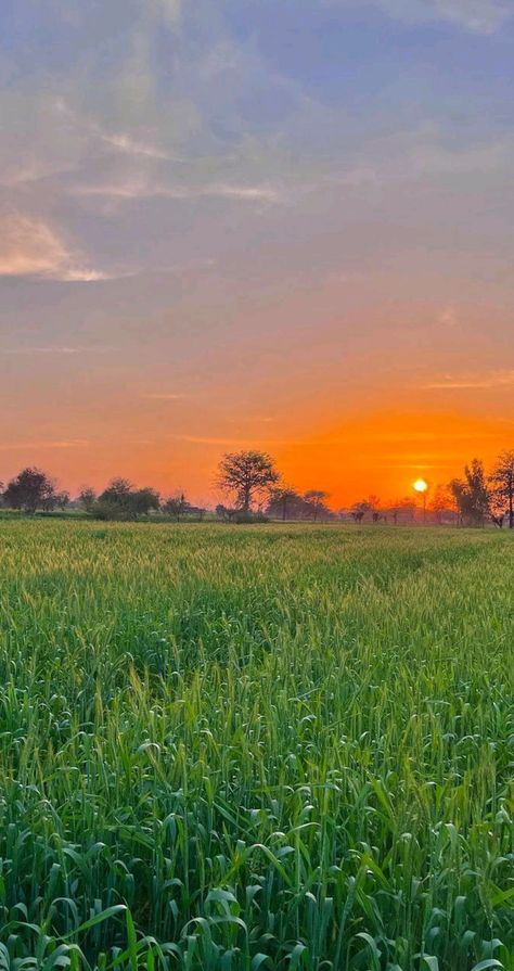 Agriculture Pictures, Bakgerand Photo, Agriculture Photography, My First Vlog, Nice Good Morning Images, Photoshop Lighting, Green Village, Edit Image, Photoshop Backgrounds Backdrops