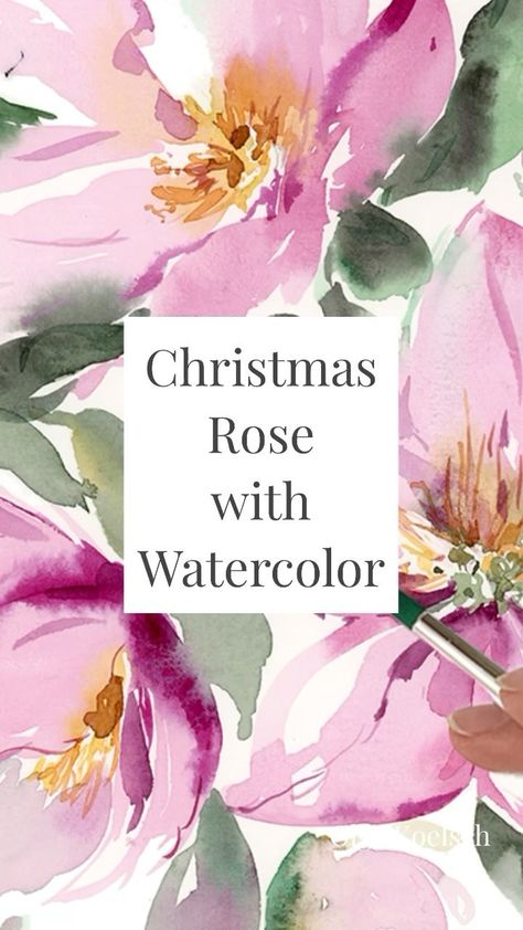 Olga Koelsch | Let’s paint a beautiful watercolor Christmas rose also known as hellebores or Lenten Rose in loose, free-hand style The full tutorial is on... | Instagram Rose Watercolour, Paint Easy, Lenten Rose, Transparent Flowers, Loose Watercolor, Christmas Rose, Watercolor Christmas, Christmas Flowers, Beautiful Watercolor