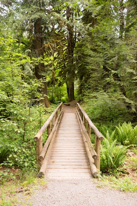 Wood Bridge Over Creek, Bridge Over Creek, Fluffy Stool, Wood Pathway, Backyard Bridges, Side Walkway, Pond Bridge, Wood Path, Creek Bridge