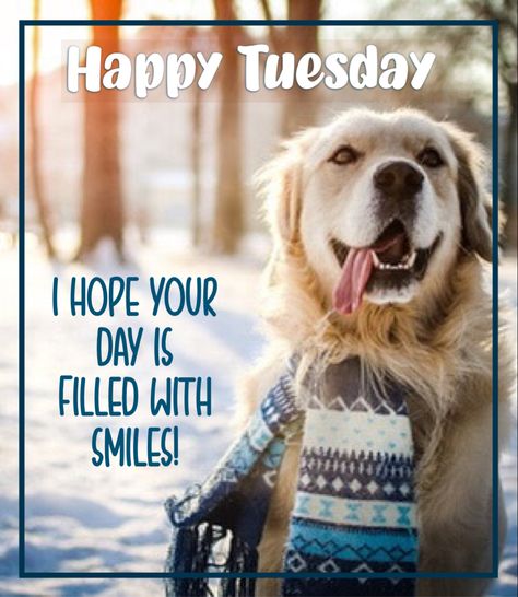 Winter Friday, Work Related Quotes, Tuesday Meme, Weekend Blessings, Happy Tuesday Morning, Winter Blessings, Tuesday Quotes Good Morning, Hello Tuesday, Terrific Tuesday