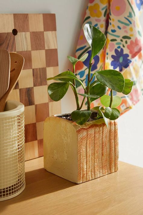 Nick Nacks, Uo Home, Unique Planter, Loaf Bread, Dry Clay, Plant Pot, Plant Life, Indoor Planters, Kitsch