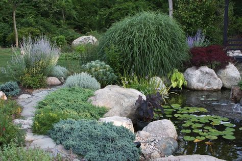 Creeping phlox and juniper with lavender. Matisse inspired garden. Blue Star Juniper, Herb Garden Design, Cottage Garden Plants, Pond Design, Traditional Landscape, Garden Oasis, Landscaping Tips, Natural Garden, Bournemouth