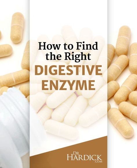 Digestive Enzymes Supplements, Stop Overeating, Nutrition Articles, Digestion Process, Nutrition Guide, Holistic Nutrition, Digestive Enzymes, Functional Medicine, Healthy Gut