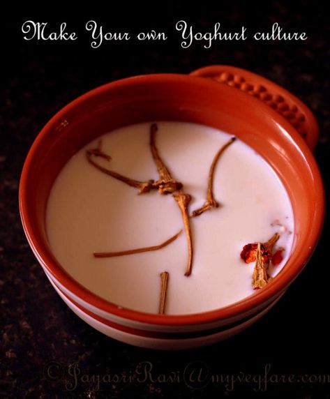 How to Make your own Culture to make your own Yoghurt - My Veg Fare Indian Gastronomy, Home Made Yoghurt, Wholesome Food Recipes, Fruit Vegetable Smoothie, Foreign Food, Healthy Breakfast Recipes Easy, French Toast Easy, Easy Healthy Breakfast, Fabulous Foods