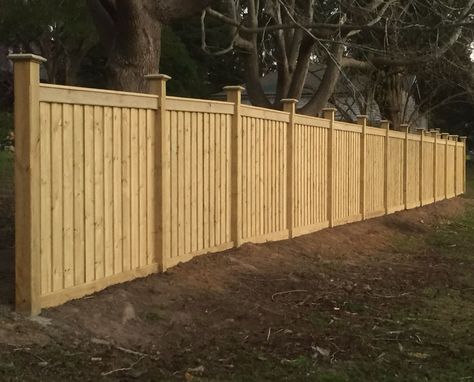 Whether you prefer a minimalist approach or a more ornate design, these fence panel ideas offer versatility to suit various home styles. Enhance the beauty of your outdoor space while maintaining functionality and privacy. #FencePanels #BackyardDesign #HomeExterior #BambooFence #InteriorAndExteriorDesign #OutdoorLiving #HomeDecorIdeas #PrivacyFence #CreativeLandscaping #OutdoorStyle Bamboo Fence Design, Fence Panels Ideas, Fence Panels Ideas Decor, Backyard Fence Design, Hamptons Fence, Pine Fence, Fence Design Ideas, Wood Privacy Fence, Wood Fence Design