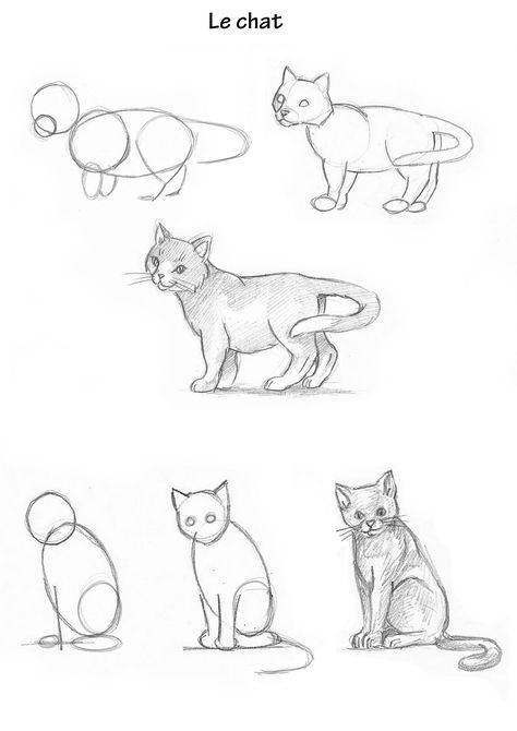 Pet Drawings Easy, Cats Drawing Easy, Tiny Cat Drawing, How To Draw A Cat, Cat Eye Drawing, Cat Eyes Drawing, Minimal Tattoo Ideas, Draw Cats, Cat Drawing Tutorial