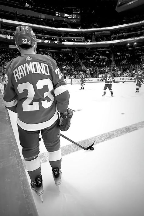 Lucas Raymond, Hockey Boys, Detroit Red Wings, Red Wings, Ice Hockey, Nhl, Hockey, Sports, Red