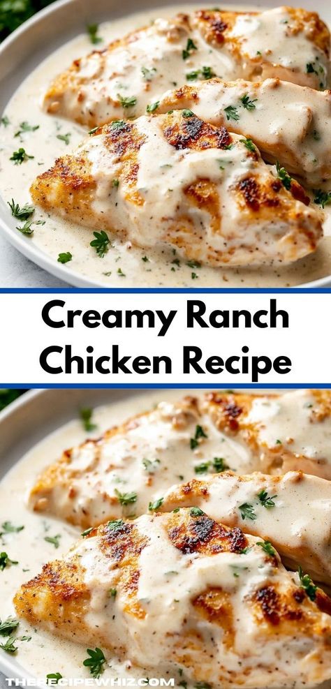 Looking for a creamy chicken dinner idea? This Creamy Ranch Chicken Recipe is an easy dinner option that brings rich flavors to your table, making it a perfect choice for family dinners or busy weeknights. Creamy Ranch Chicken Recipe, Ranch Chicken Recipe, Creamy Ranch Chicken, Ranch Sauce, Ranch Chicken Recipes, Creamy Ranch, Chicken Breast Seasoning, Ranch Chicken, Ranch Seasoning