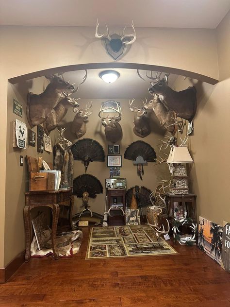 Hog Skull, Deer Hunting Decor, Animal Taxidermy, Big Deer, Old Gas Pumps, Deer Mounts, Hunting Room, Hunting Decor, Commercial Landscaping