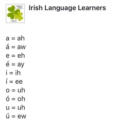 Irish Gaelic Language, Gaelic Words, Irish Words, Irish Accent, Learning Languages Tips, Irish Language, Irish Gaelic, Irish Quotes, Scottish Gaelic