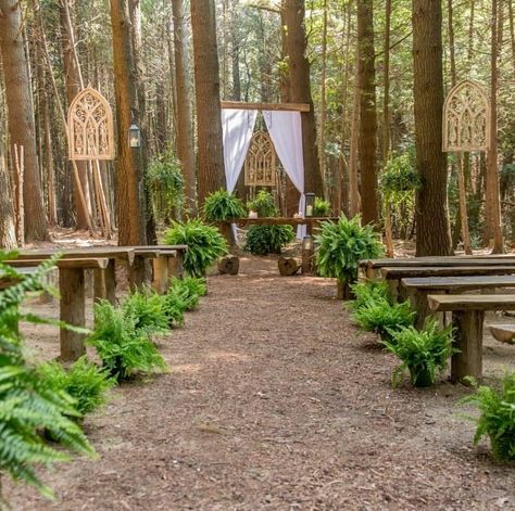 Ontario Wedding Venues Outdoor, Fern Wedding Ceremony, Fern Ceremony Decor, Ferns For Wedding Ceremony, Boston Fern Wedding Decor, Outdoor Wedding Woods, Outdoor Woodsy Wedding Ideas, Ferns At Wedding, Wedding Venue Woods