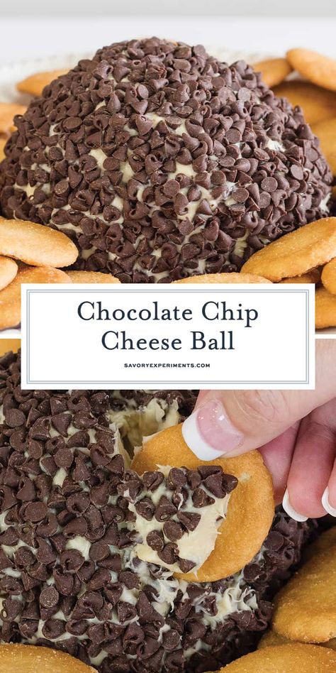 A Chocolate Chip Cheese Ball recipe is the appetizer and treat you didn’t know you needed! A “cookie dough” covered in your favorite cookie toppings! #chocolatechipcheeseball #cookiedoughcheeseball #cookiedoughrecipe www.savoryexperiments.com Chocolate Cheese Ball, Chocolate Chip Cheese Ball, Dessert Cheese Ball, Cheese Ball Recipes Easy, Cream Cheese Ball, Sweet Appetizer, Edible Cookie Dough Recipe, Cheese Ball Recipe, Mini Chocolate Chip Cookies