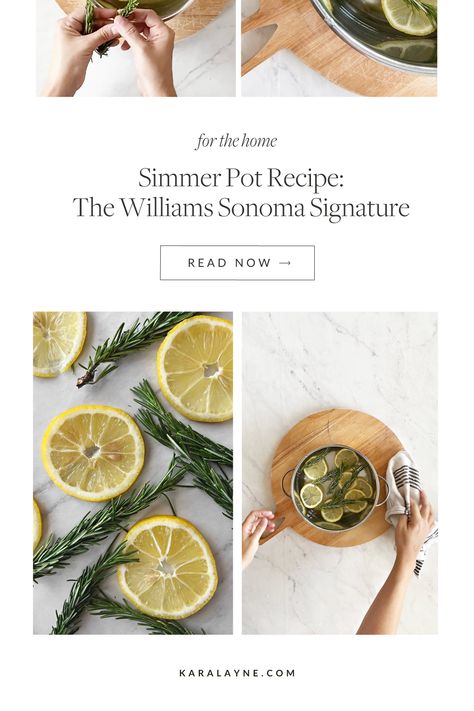 Scenting Candles, Williams Sonoma Smell, Smell Good Combo, Simmer Pot Recipes, Simmer Pot, House Smell Good, Lemon Rosemary, Home Smell, Stovetop Potpourri