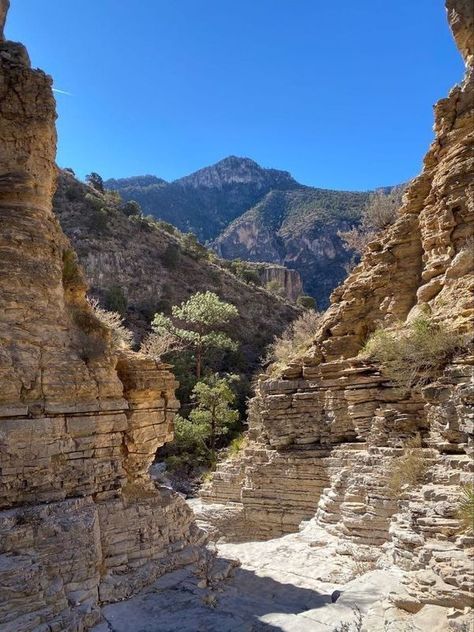 Guadalupe National Park, Guadalupe Mountains National Park, Guadalupe Mountains, Model Train Scenery, Amazing Places On Earth, Best View, Spring Trip, Park Art, Texas Travel