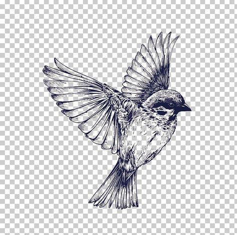 Flight Tattoo, Flying Bird Drawing, Bird Hand Tattoo, Sparrow Drawing, Tattoo Tutorial, Bird Flight, Fly Drawing, Flying Bird Tattoo, Illustration Art Nouveau