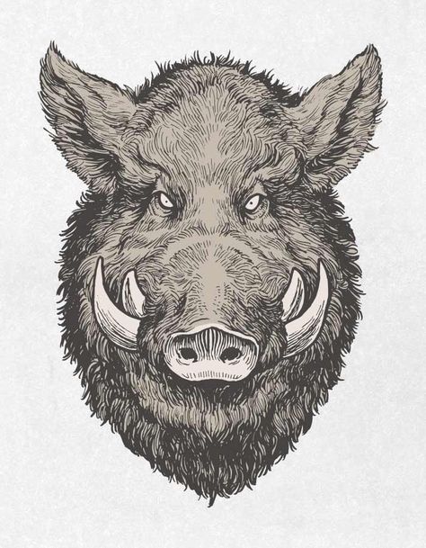 Pig Face Drawing, Boar Drawing, Own Clothing Brand, Beard Drawing, Optical Illusion Tattoos, Illusion Tattoos, Wild Animals Painting, Animals Painting, Pig Character