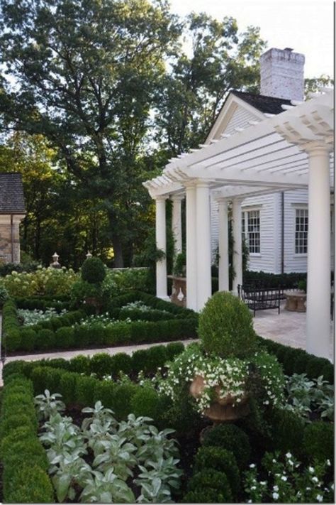 Boxwood Landscaping, Formal Garden Design, Parterre Garden, Boxwood Garden, Country Landscaping, Formal Gardens, Traditional Landscape, White Gardens, Easy Garden