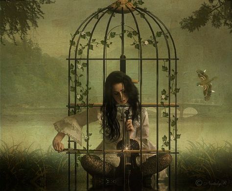 ” What do you fear my lady? “    “A cage      To stay behind bars    Until use and old age accept them    And all chance of valor has gone     Beyond recall or desire.”     J.R.R. Tolkien Image Positive, The Caged Bird Sings, Surreal Artwork, Girl Background, Film Inspiration, Bird Cages, Painting Photos, Conceptual Art, Surreal Art