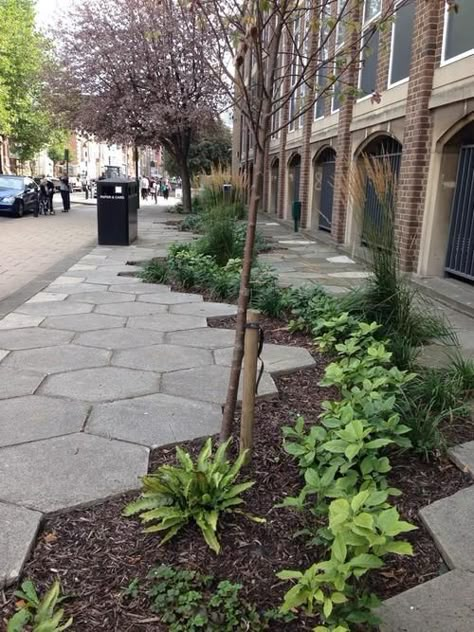 streetscape, sidewalk, pave, pattern, hexagon Green Cities, Streetscape Design, Pavement Design, Rain Gardens, Landscape Pavers, Landscape And Urbanism Architecture, Architectural Representation, Urban Landscape Design, Areas Verdes