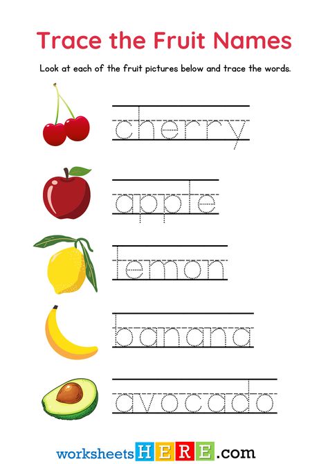 Trace the Fruit Names With Pictures PDF Worksheet For Kindergarten - WorksheetsHere.com Fruit Worksheet, Fruits Name With Picture, Damson Plum, Worksheet For Kindergarten, Fruit Names, Bing Cherries, Finger Lime, Navel Oranges, Pink Banana