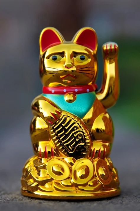 Maneki Neko Waving Cat Manekineko - Free photo on Pixabay Waving Cat, Photoshopped Animals, Money Cat, China Culture, Neko Cat, Ragdoll Kitten, Focus Photography, White Kittens, Cat Statue