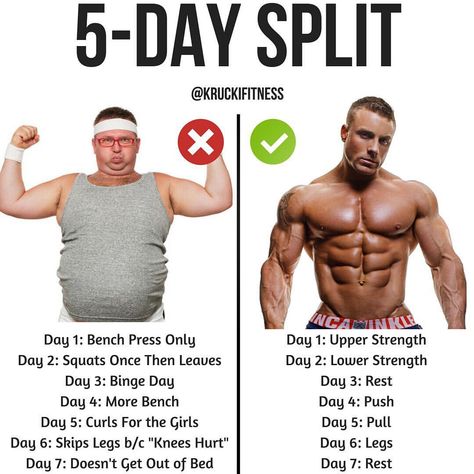 5 DAY-SPLIT by @kruckifitness - Of all the training splits out there, this one is my personal favorite! The 5-day split is another great… 5 Day Workout Split Muscle Building, 5 Day Workout Split, Get Ripped Workout, Weekly Gym Workouts, Training Split, 5 Day Workouts, Temple Building, Workout Split, Cardio For Fat Loss