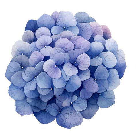 beautiful watercolor hydrangea flower, AI Generative Hydrangea Clipart, Emoji Stickers Iphone, Watercolor Hydrangea, Interior Artwork, Emoji Stickers, Beautiful Watercolor, Hydrangea Flower, Free Png, Hydrangea